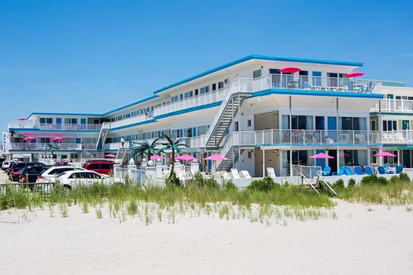 Apollo Wildwood Crest